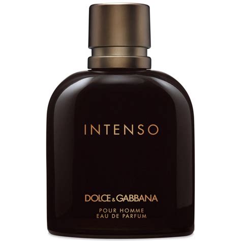 dolce & gabbana intenso hombre precio|dolce website.